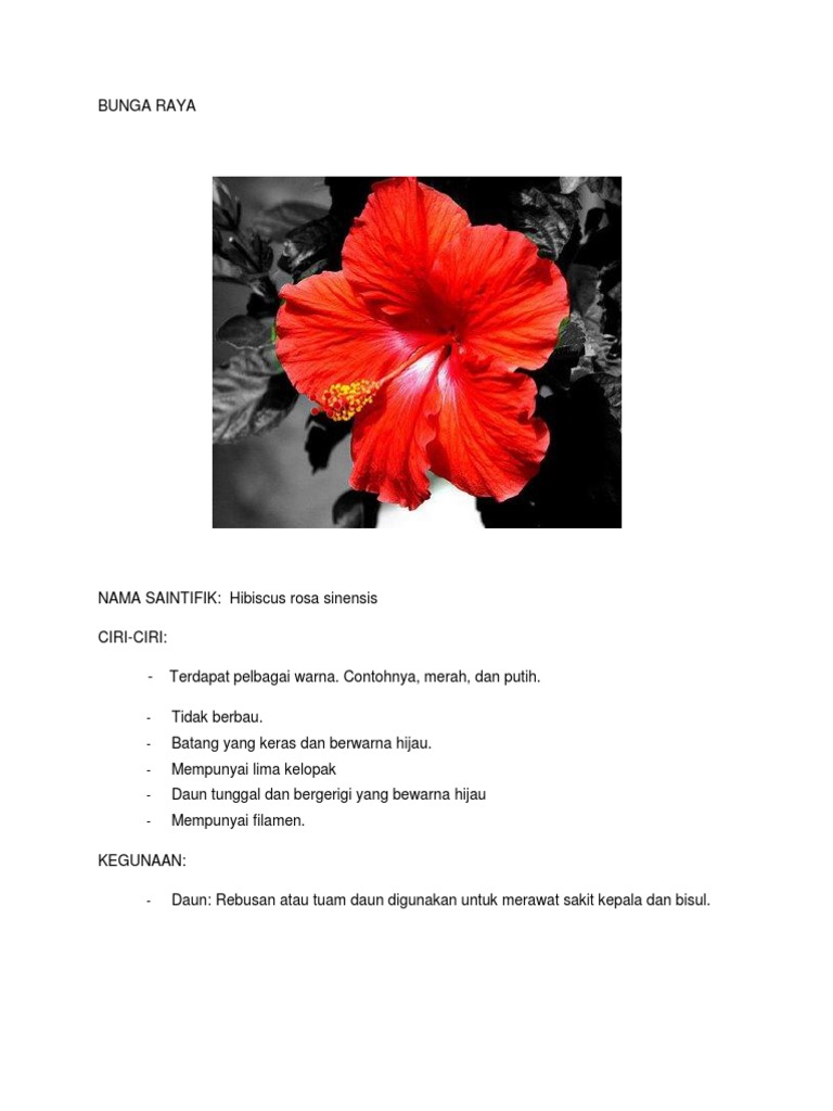 Bunga Raya | PDF