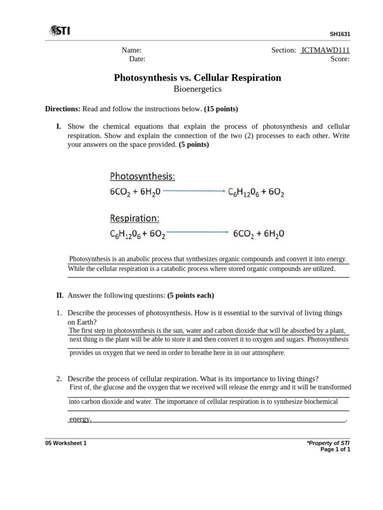 Photosynthesis and Cellular Respiration Explained | PDF