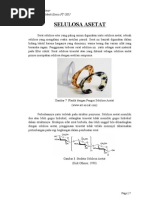 Download SELULOSA ASETAT by Syervy Tanata SN92506153 doc pdf