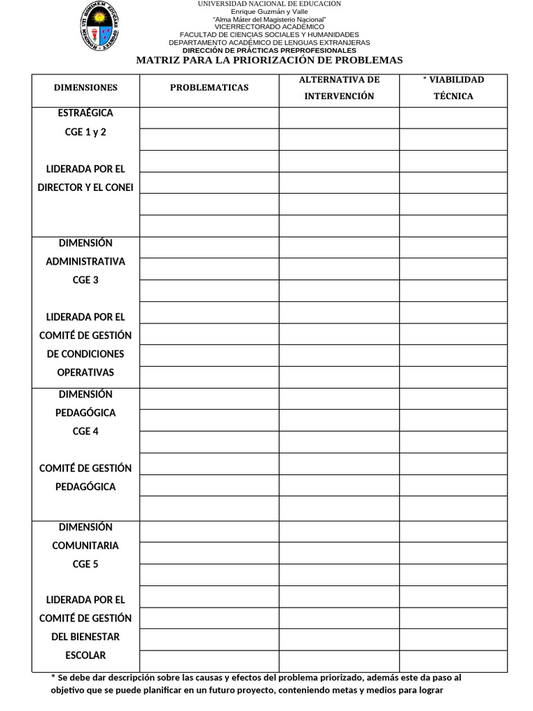 Ok Matriz Priorización | PDF