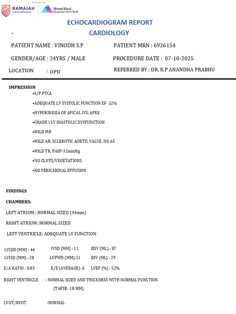 Echocardiogram Report for Vinodh S.P. | PDF