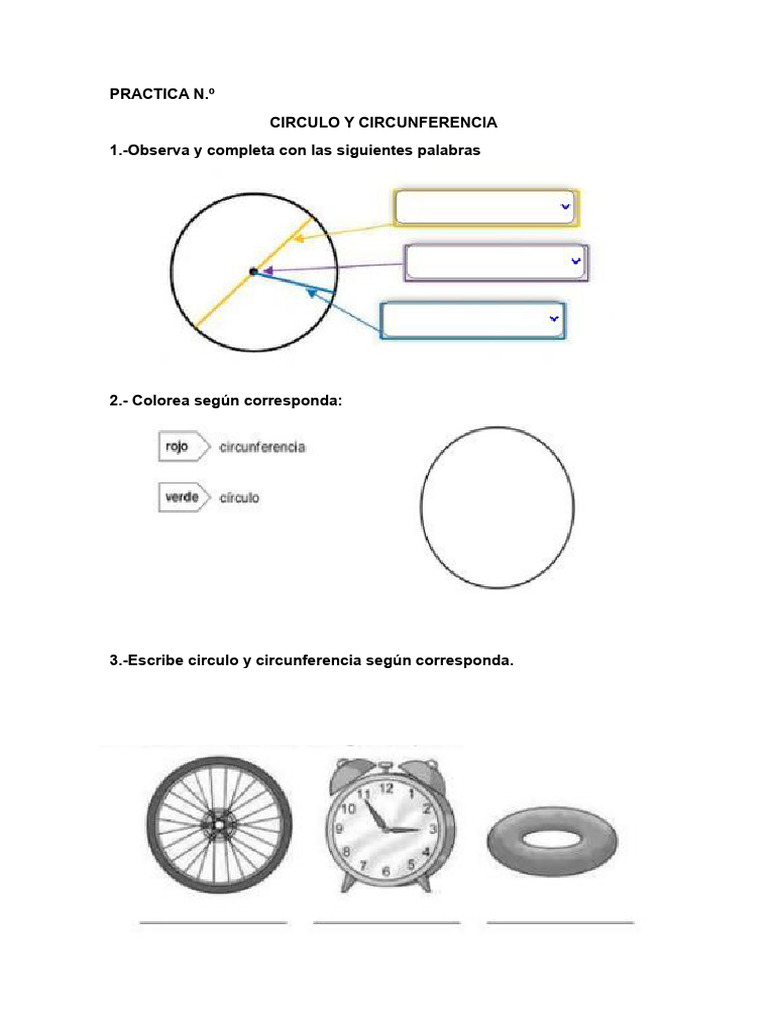Practica de Circulo y Poligonos | PDF