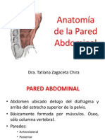 Pared Abdominal