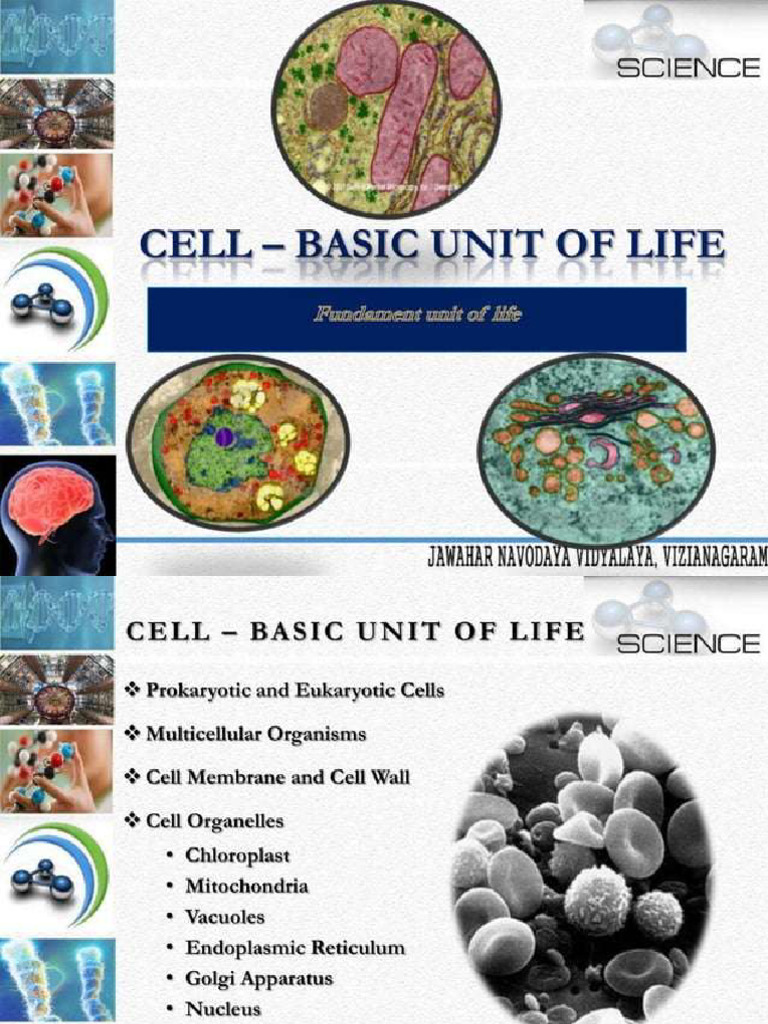 Cell As Basic Unit of Life | PDF