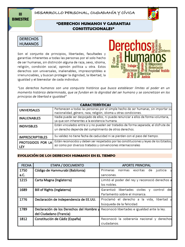 DPCC 5° - DDHH y G. Cosntitucionales | PDF | Derechos humanos ...