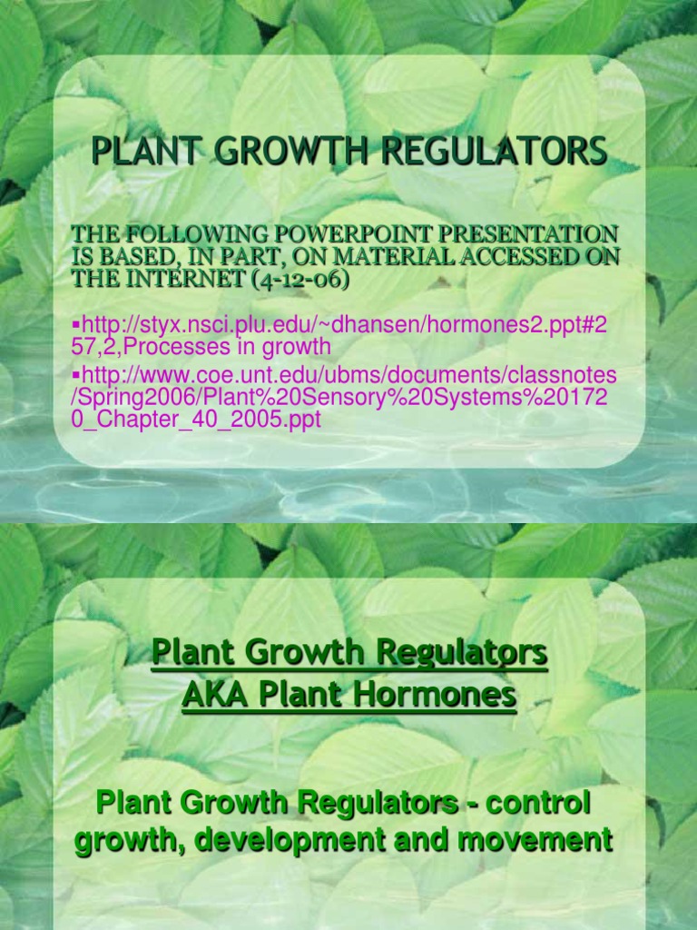 Plant Growth Regulators Overview | PDF | Plant Hormone | Auxin