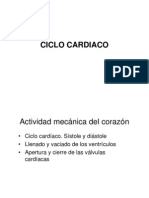 Clase Ciclo Cardiaco