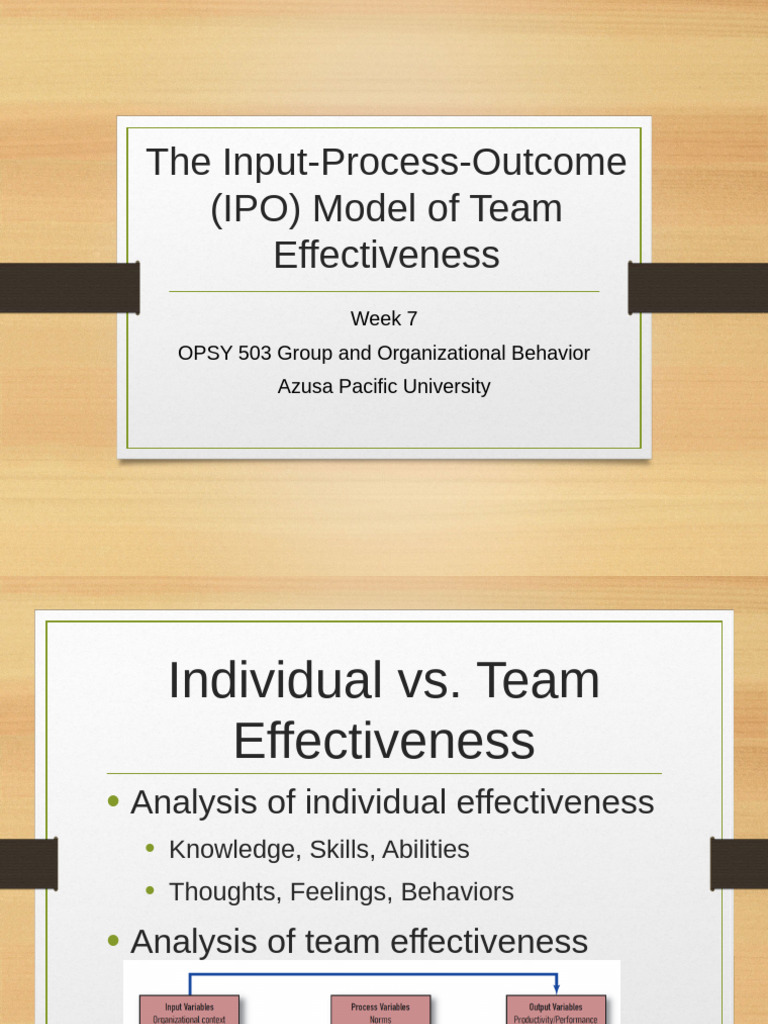 TheInput Process OutcomeIPOModelofTeamEffectiveness | PDF