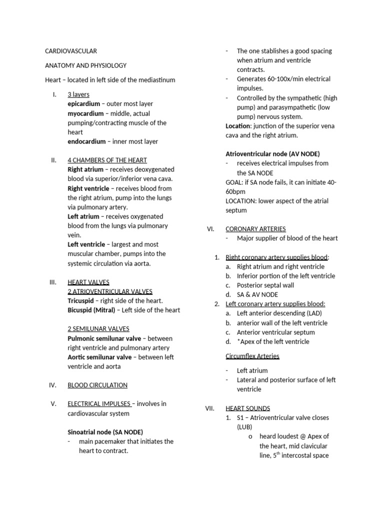 Cardiovascular Anatomy & Physiology Guide | PDF | Heart | Ventricle (Heart)