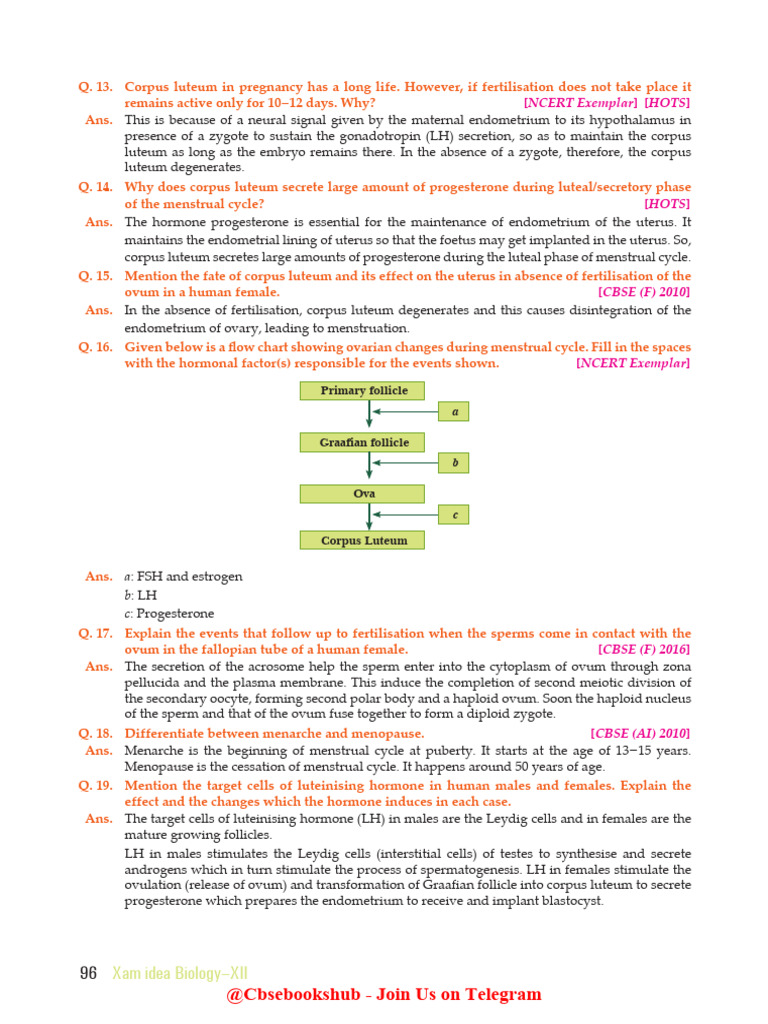 Human Reproduction Xamidea | PDF | Menstrual Cycle | Luteinizing Hormone