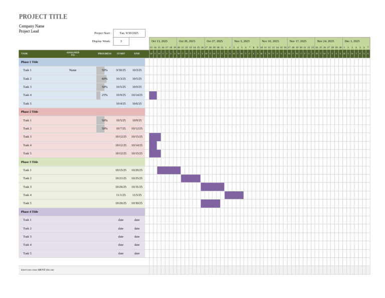 Project Schedule Overview 2025 | PDF