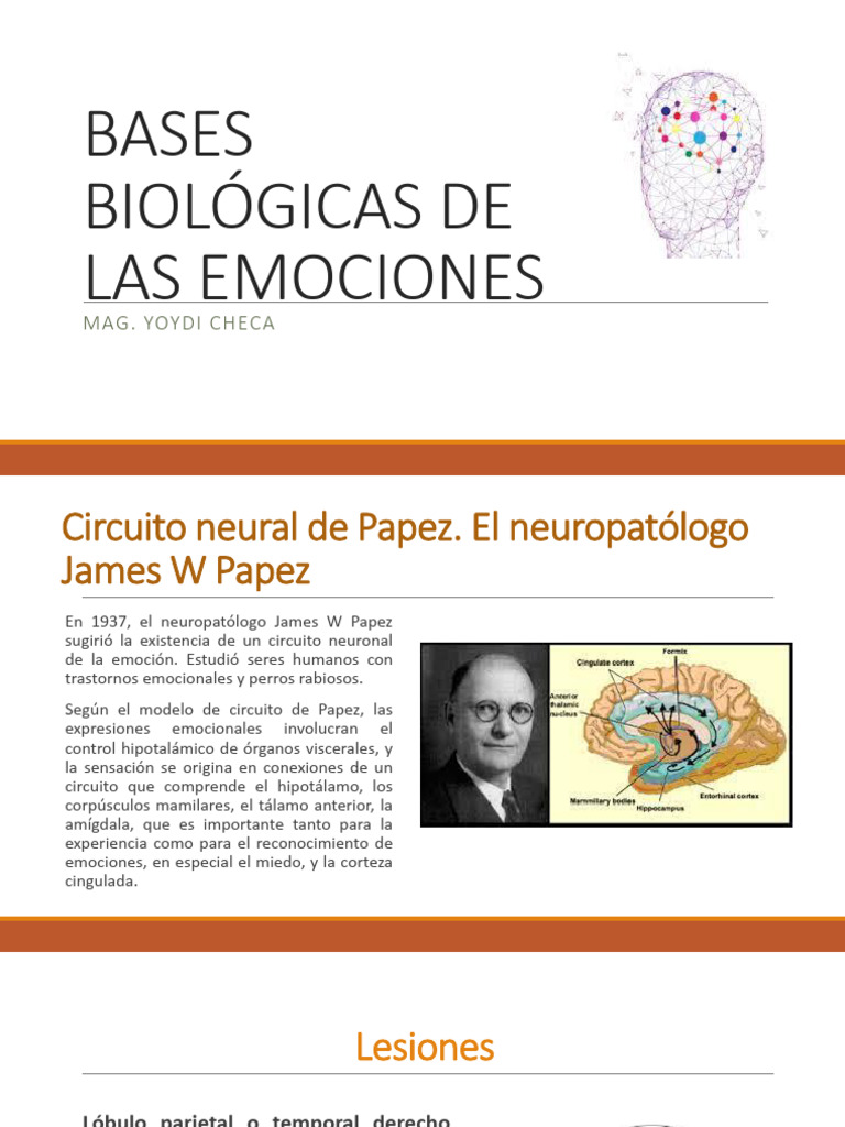 Bases biológicas de las emociones | PDF | Las emociones | Cerebro