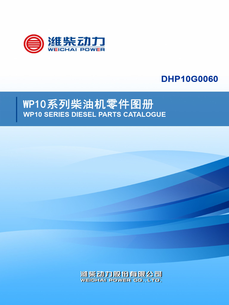 DHP10G0060 | PDF
