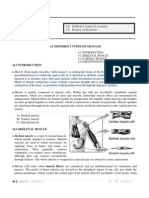 Muscle: 14. Different Types of Muscles