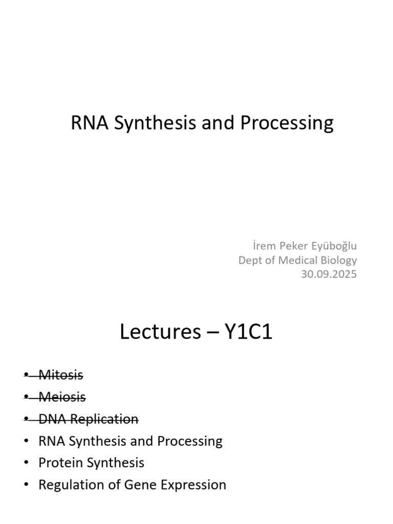 RNA Synthesis and Processing Overview | PDF | Rna | Messenger Rna