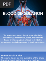 Blood Circulation Flow Chart | PDF