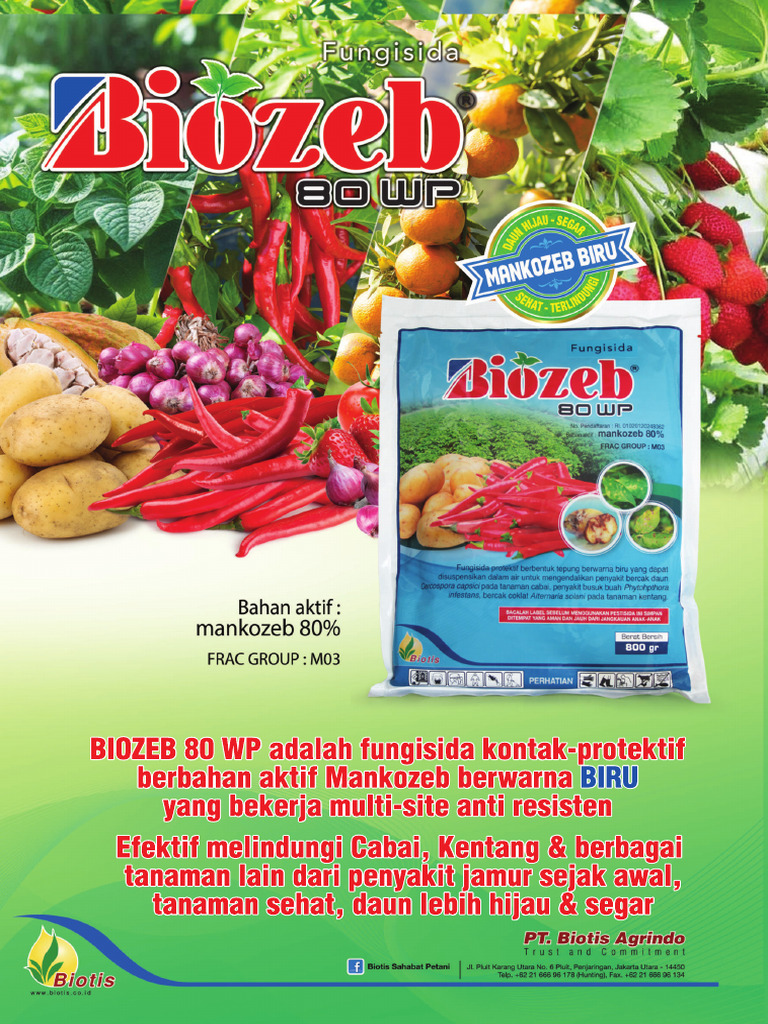 Biozeb Poster Biotismart | PDF