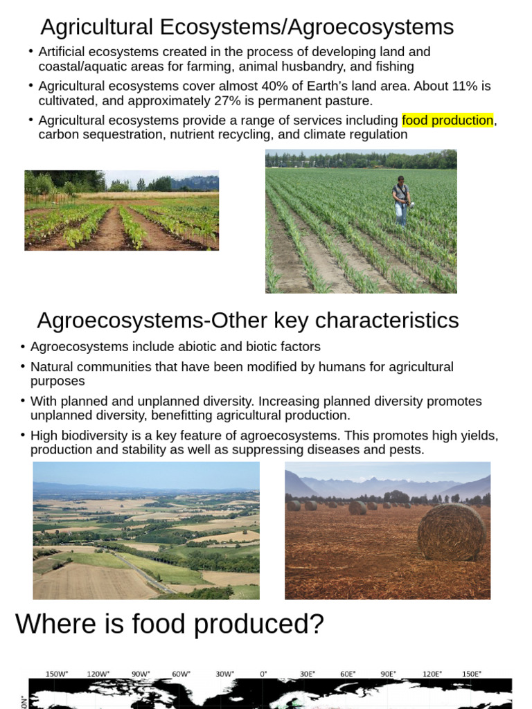 Week 13 Agricultural Ecosystem and Food Security | PDF | Agriculture | Soil