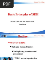 Training PPT, SDH Principle, 20040423