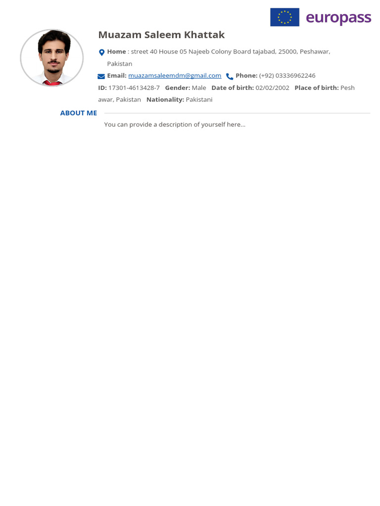 Muazam's CV.... | PDF