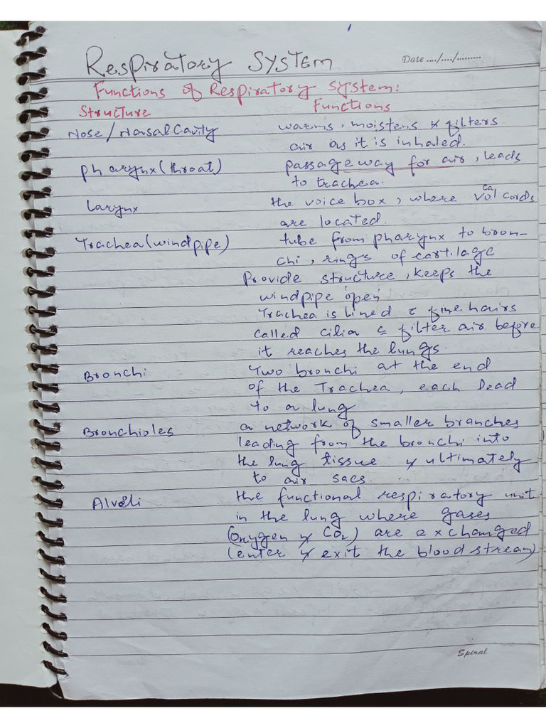 Physiology | PDF