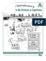 Cabras y Ovinos Cartilla Ilustrada