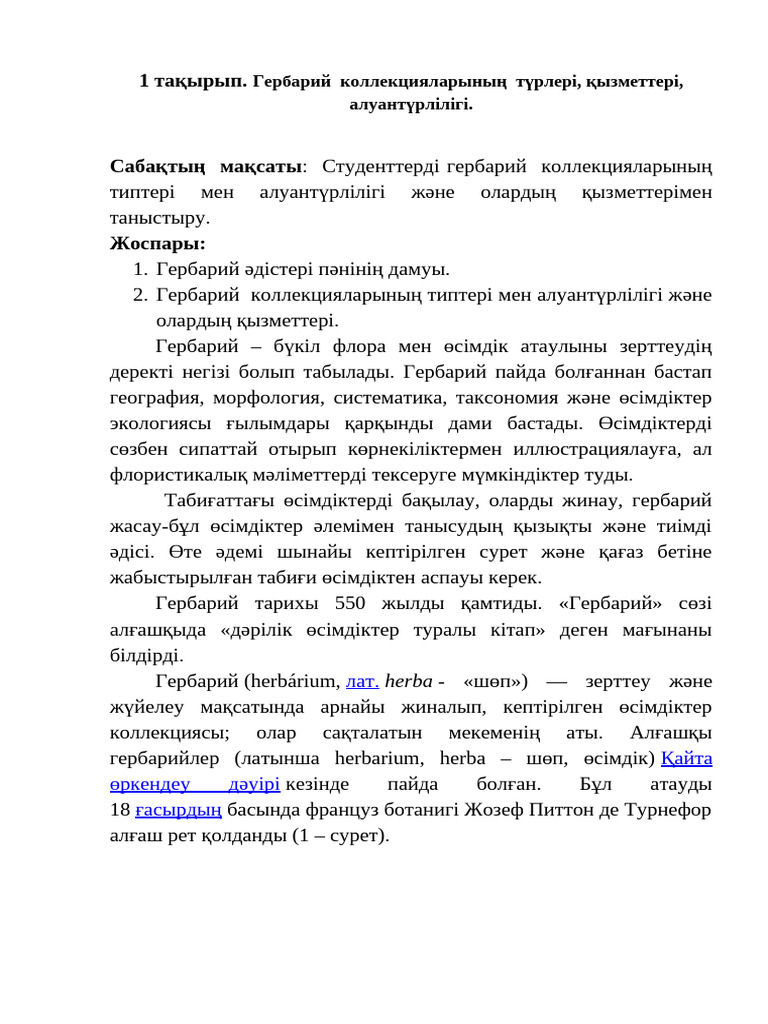 Порно үлкен жопа әпке