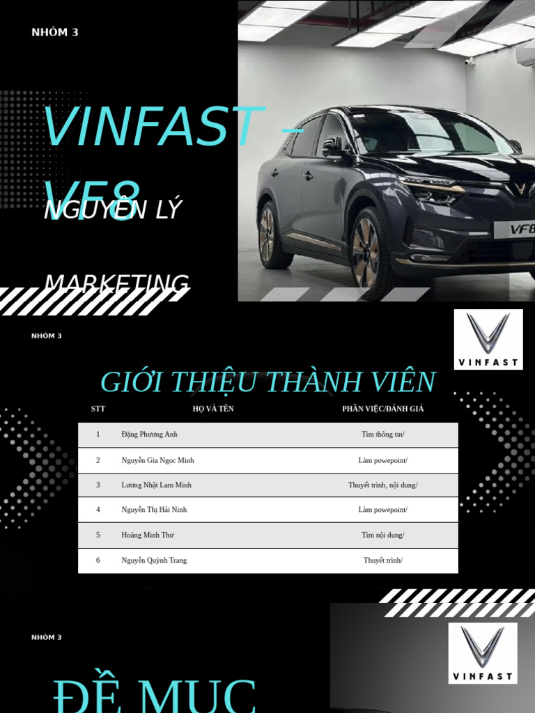 VF8 Final | PDF