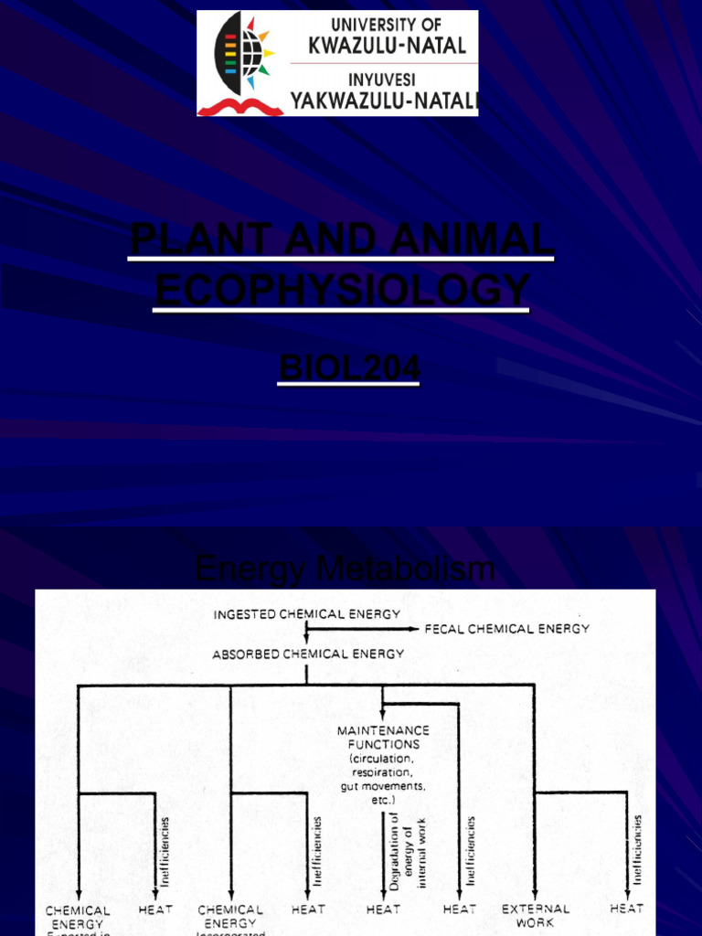 BIOL204W1 Energy Metabolism 1 (2016) | PDF | Calorie | Chemistry