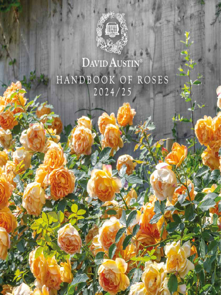 David Austin 2024 Rose Collection Aus | PDF | Rose | Flowers