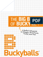 Big Book Bucky