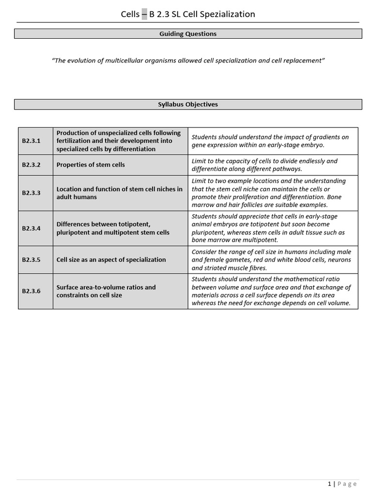 Cell Specialization and Stem Cells Explained | PDF | Cell Potency ...