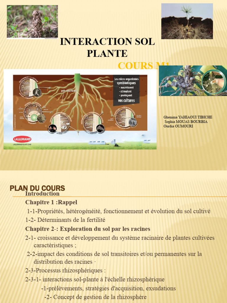 Interactions Sol-Plante en Agriculture | PDF | Sol (pédologie ...