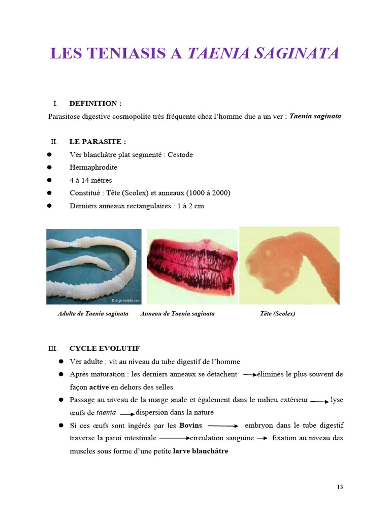 Teniasis à Taenia saginata : Symptômes et Traitement | PDF ...