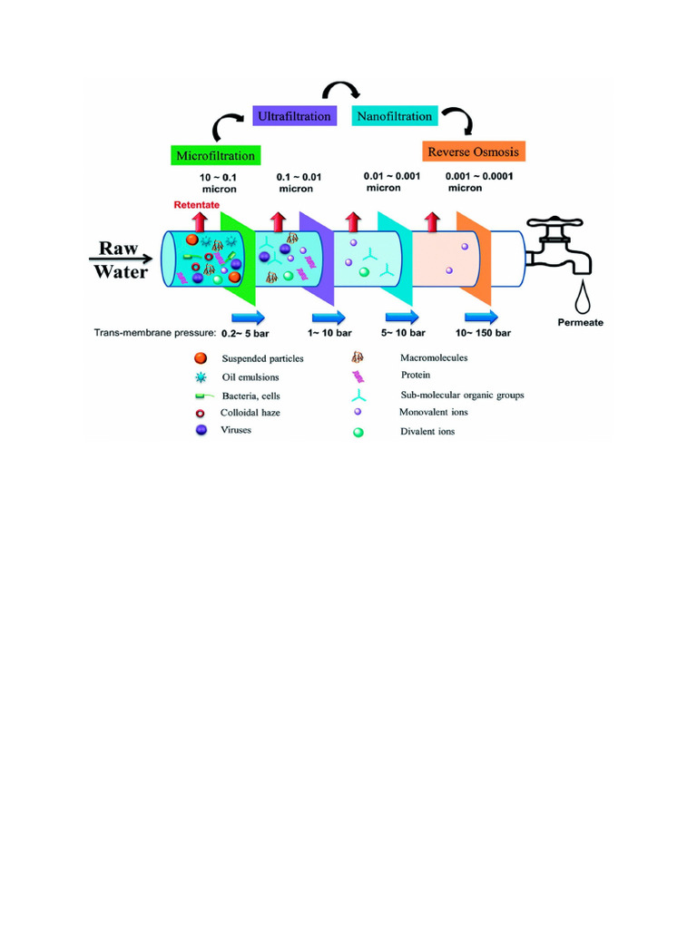 Reverse Osmosis Membranes | PDF