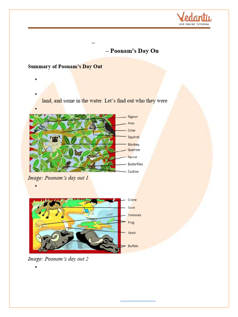 Poonam's Day Out Class 3 EVS Notes - Free PDF | PDF | Zoology | Organisms