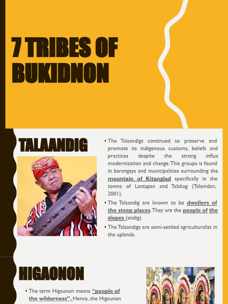 7 Indigenous Tribes of Bukidnon | PDF | Ethnic Groups | Cultural ...