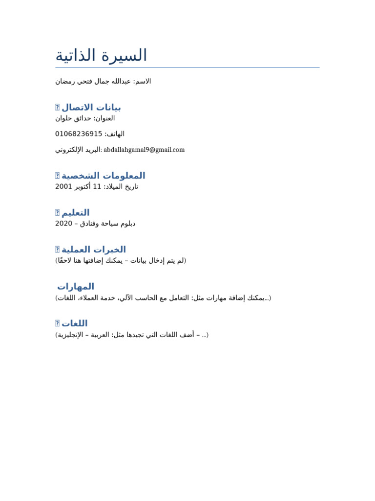 CV Abdallah Gamal | PDF