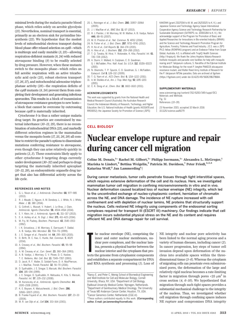 Nuclear Envelope Rupture and Repair During Cancer Cell Migration | PDF ...