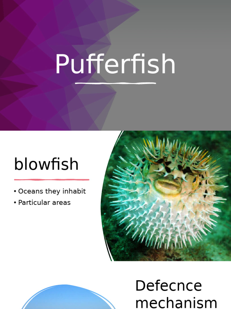Pufferfish: Habitat, Defense, and Conservation | PDF