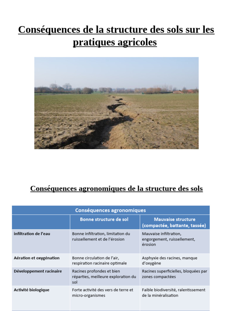 Impact de la structure des sols en agriculture | PDF | Sol (pédologie ...