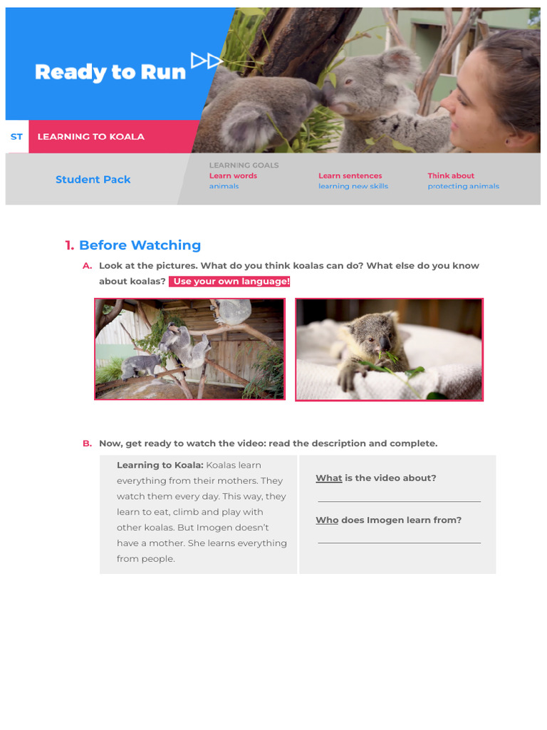 Learning About Koalas in Wildlife Parks | PDF | Koala | Marsupials
