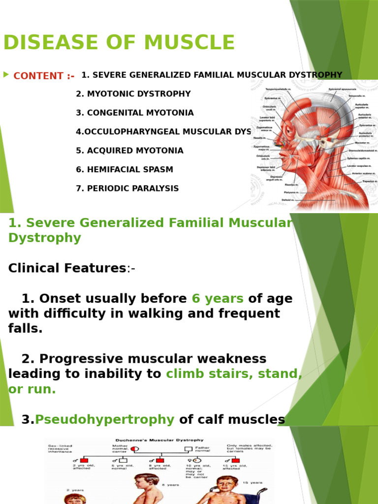 Muscle Disease Overview and Types | PDF | Muscular Dystrophy | Skeletal ...