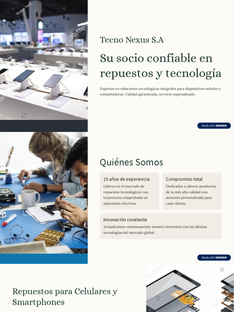 Tecno Nexus SA | PDF | Soporte técnico | Disco duro