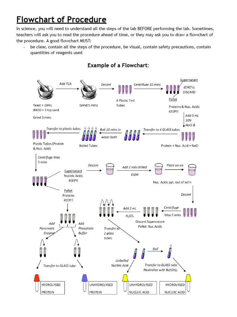 Lab Procedure Flowchart Guide | PDF