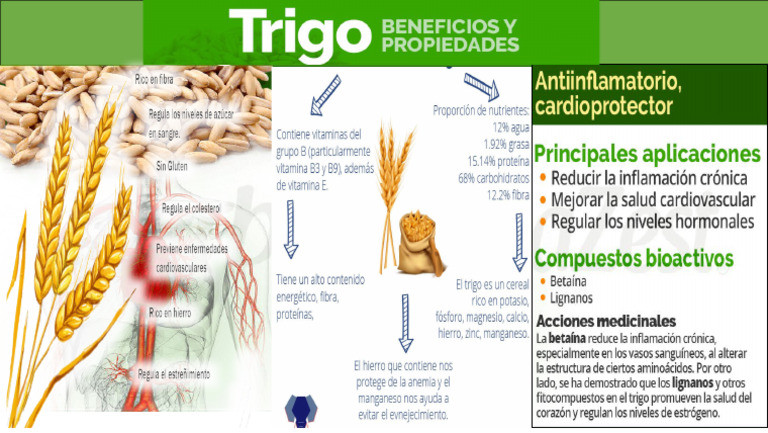 Trigo | PDF