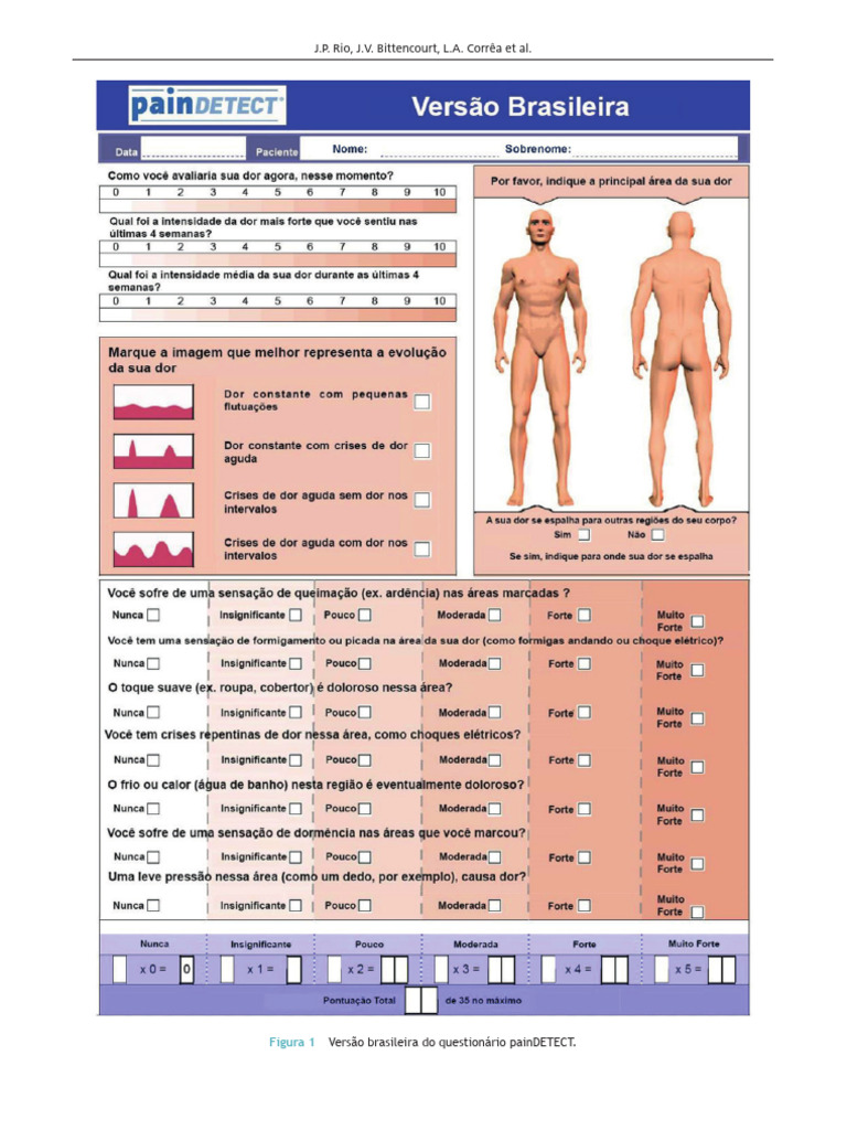 Questionário painDETECT Brasil | PDF