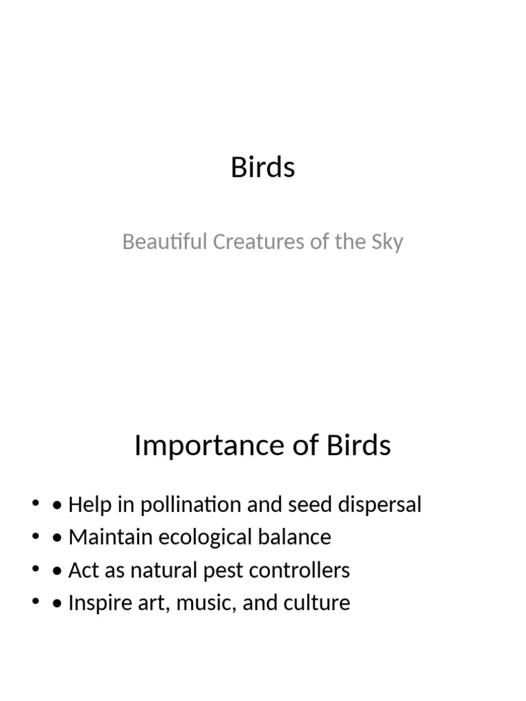 Birds Presentation Pdf