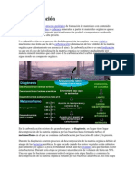 Proceso geológico de formación de carbón mineral