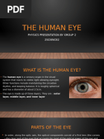 Anatomy and Function of the Human Eye | PDF | Eye | Human Eye